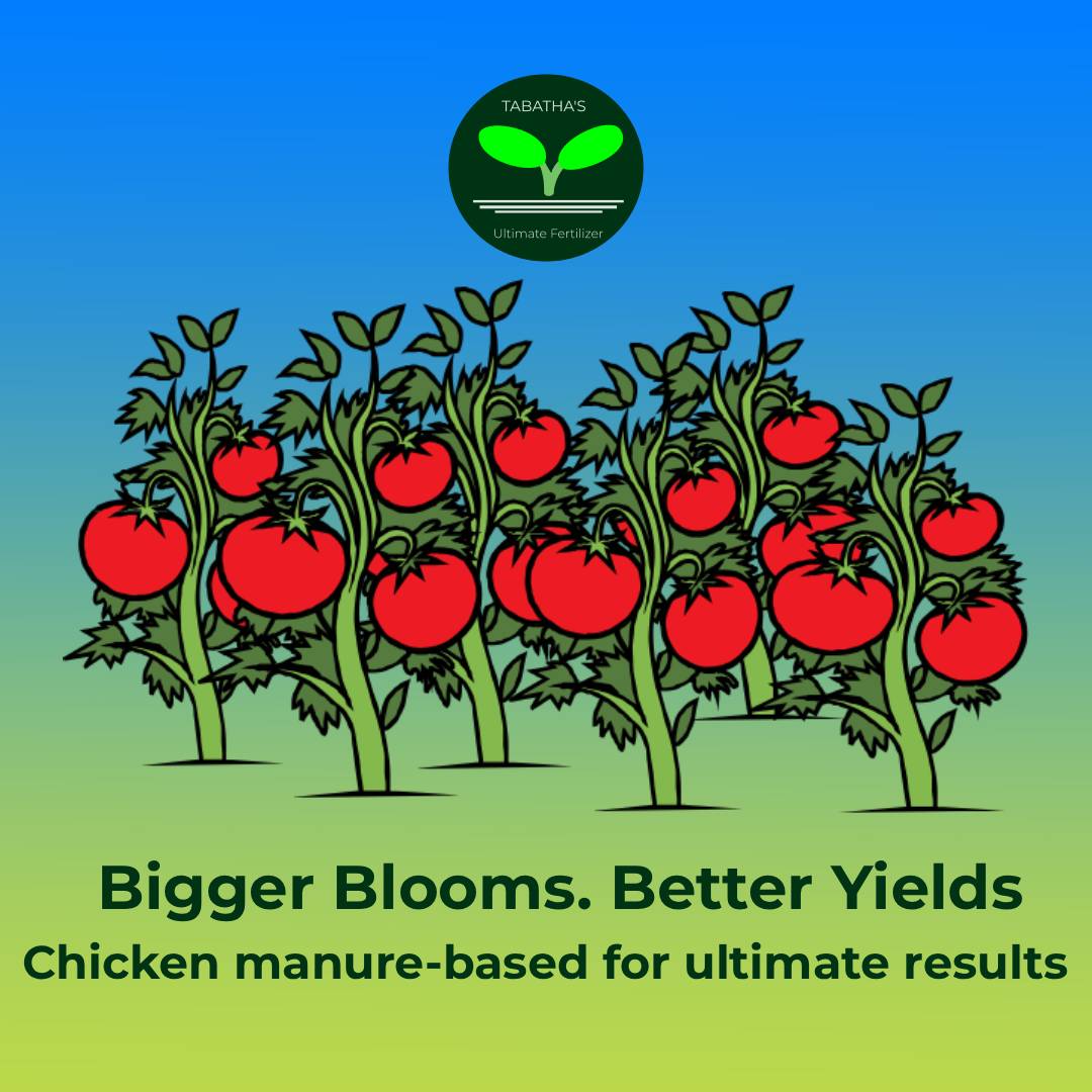 Image of Advertisement